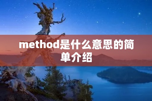 method是什么意思的简单介绍