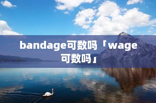 bandage可数吗「wage可数吗」