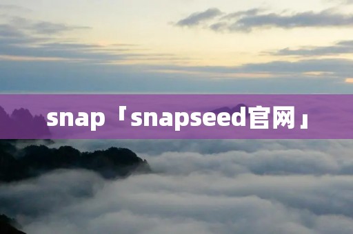 snap「snapseed官网」
