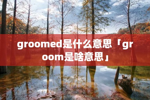 groomed是什么意思「groom是啥意思」