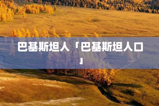 巴基斯坦人「巴基斯坦人口」 巴基斯坦人「巴基斯坦人口」