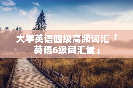 大学英语四级高频词汇「英语6级词汇量」