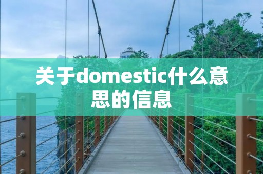 关于domestic什么意思的信息 关于domestic什么意思的信息