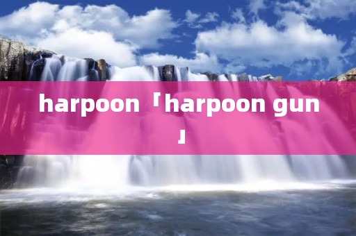 harpoon「harpoon gun」 harpoon「harpoon gun」