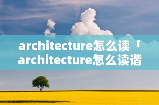 architecture怎么读「architecture怎么读谐音」