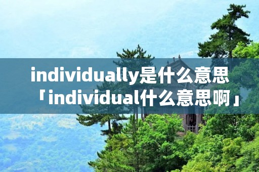 individually是什么意思「individual什么意思啊」