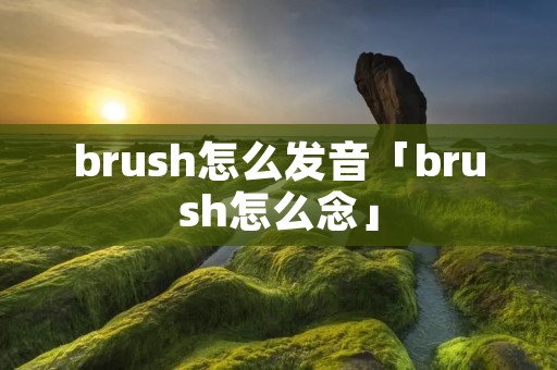 brush怎么发音「brush怎么念」