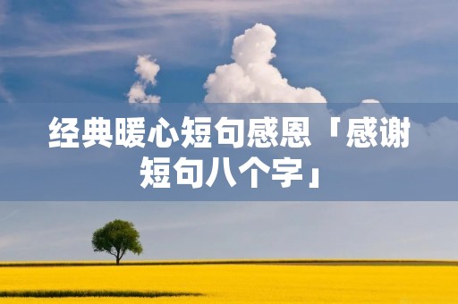 经典暖心短句感恩「感谢短句八个字」