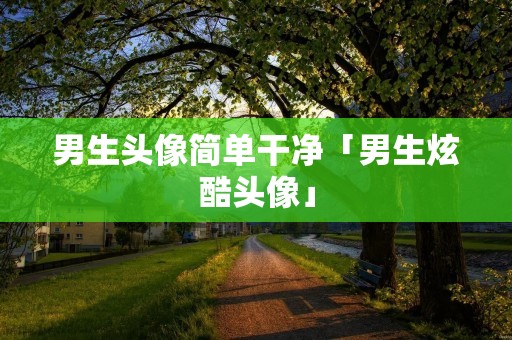 男生头像简单干净「男生炫酷头像」