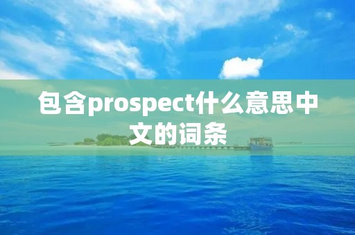 包含prospect什么意思中文的词条