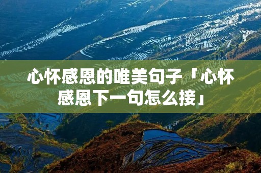 心怀感恩的唯美句子「心怀感恩下一句怎么接」 心怀感恩的唯美句子「心怀感恩下一句怎么接」