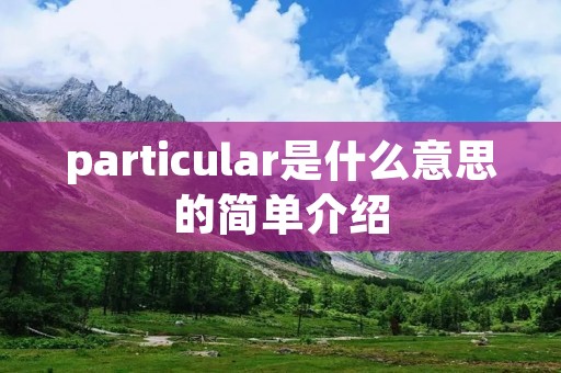particular是什么意思的简单介绍