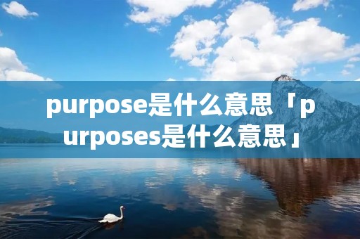 purpose是什么意思「purposes是什么意思」