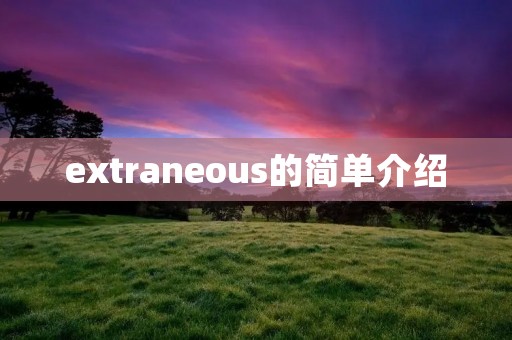 extraneous的简单介绍 extraneous的简单介绍