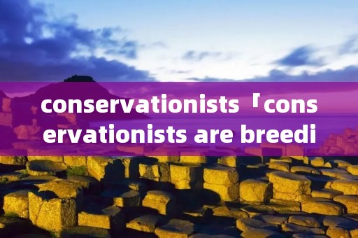 conservationists「conservationists are breeding」 conservationists「conservationists are breeding」