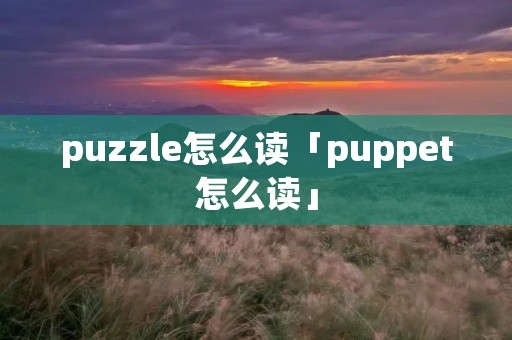 puzzle怎么读「puppet怎么读」