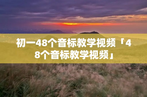 初一48个音标教学视频「48个音标教学视频」