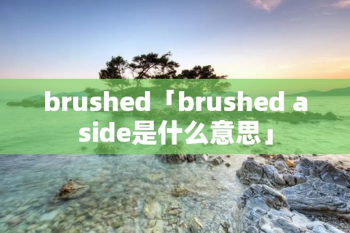 brushed「brushed aside是什么意思」