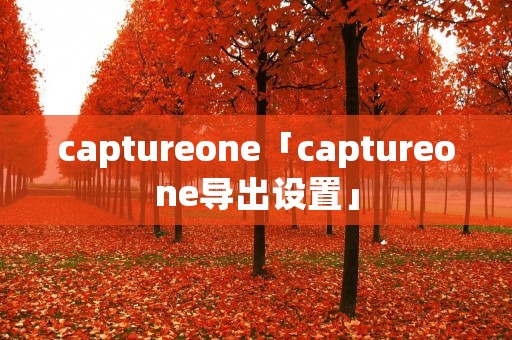 captureone「captureone导出设置」