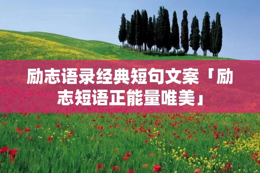 励志语录经典短句文案「励志短语正能量唯美」