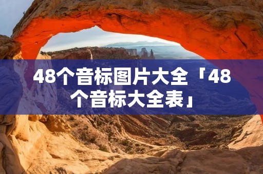 48个音标图片大全「48个音标大全表」