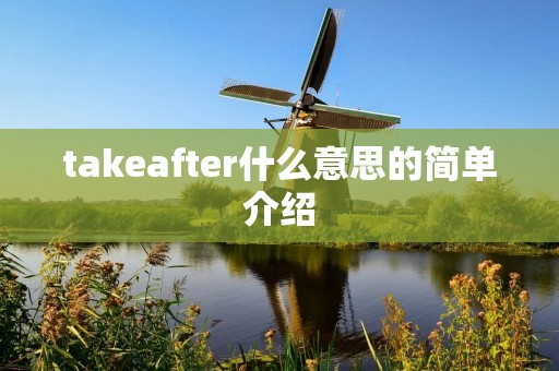 takeafter什么意思的简单介绍 takeafter什么意思的简单介绍