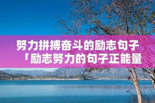 努力拼搏奋斗的励志句子「励志努力的句子正能量」