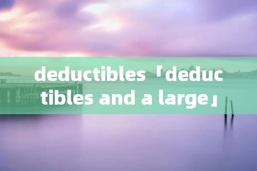 deductibles「deductibles and a large」