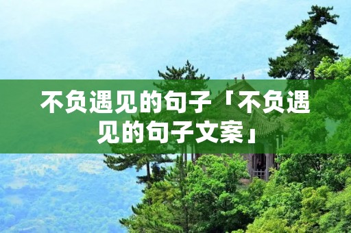 不负遇见的句子「不负遇见的句子文案」