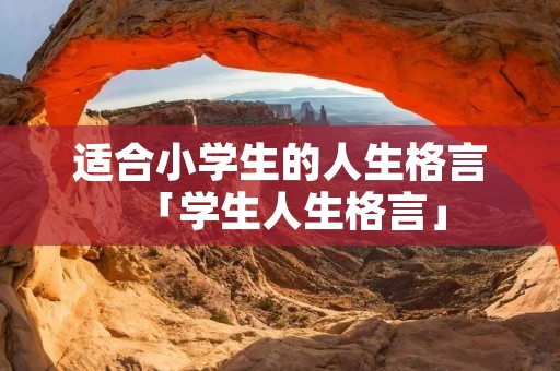 适合小学生的人生格言「学生人生格言」