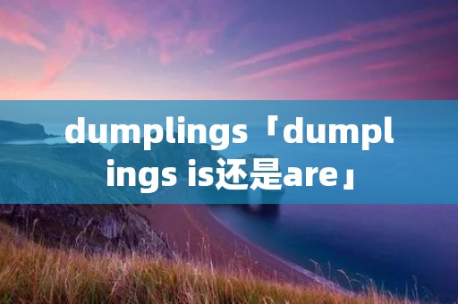dumplings「dumplings is还是are」 dumplings「dumplings is还是are」