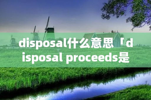 disposal什么意思「disposal proceeds是什么意思」