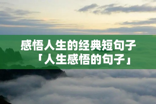 感悟人生的经典短句子「人生感悟的句子」