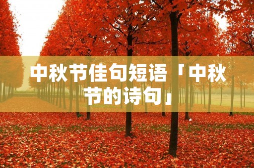 中秋节佳句短语「中秋节的诗句」