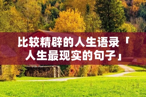 比较精辟的人生语录「人生最现实的句子」