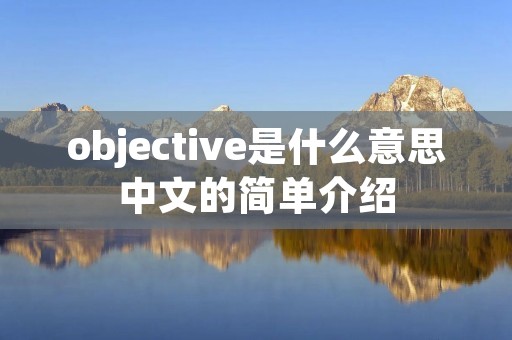 objective是什么意思中文的简单介绍