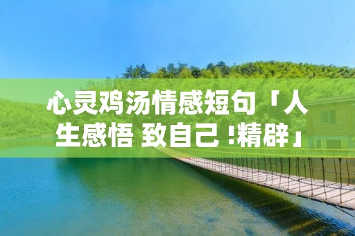 心灵鸡汤情感短句「人生感悟 致自己 !精辟」