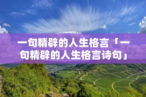 一句精辟的人生格言「一句精辟的人生格言诗句」