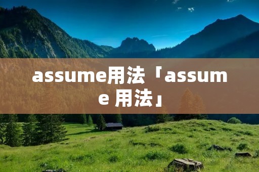 assume用法「assume 用法」