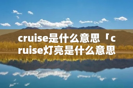 cruise是什么意思「cruise灯亮是什么意思」