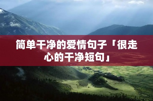 简单干净的爱情句子「很走心的干净短句」