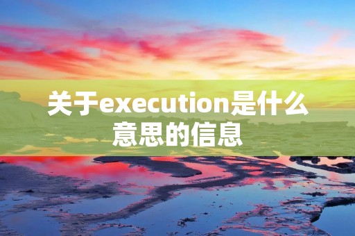 关于execution是什么意思的信息