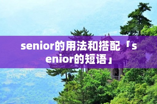 senior的用法和搭配「senior的短语」
