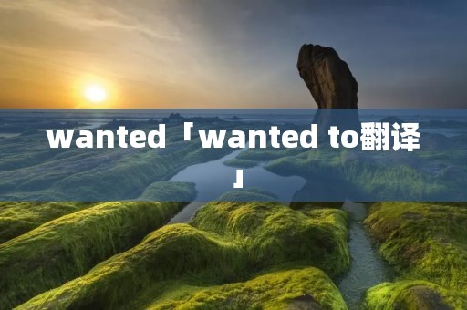 wanted「wanted to翻译」 wanted「wanted to翻译」
