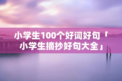 小学生100个好词好句「小学生摘抄好句大全」