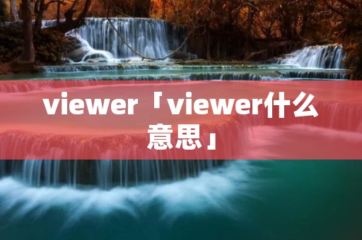 viewer「viewer什么意思」