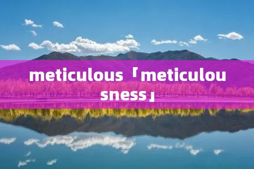 meticulous「meticulousness」