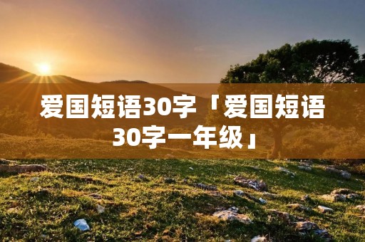 爱国短语30字「爱国短语30字一年级」