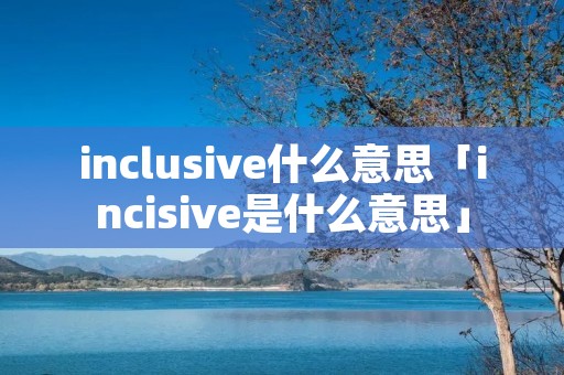 inclusive什么意思「incisive是什么意思」