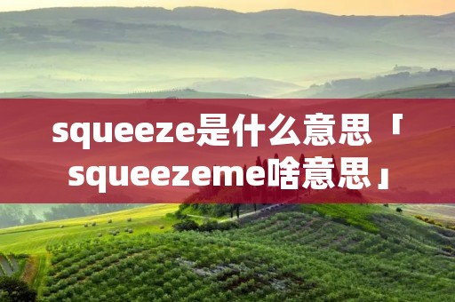 squeeze是什么意思「squeezeme啥意思」